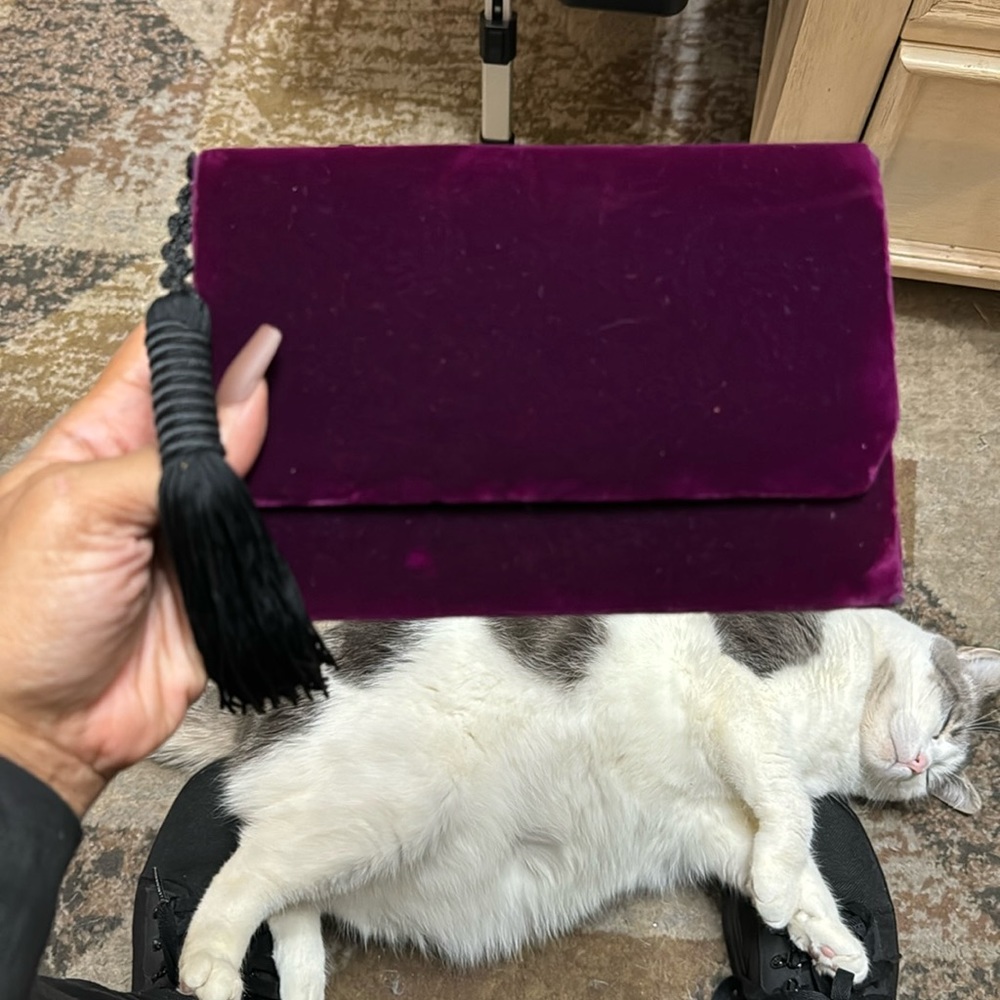 Velvet Purple/Eggplant clutch Purse